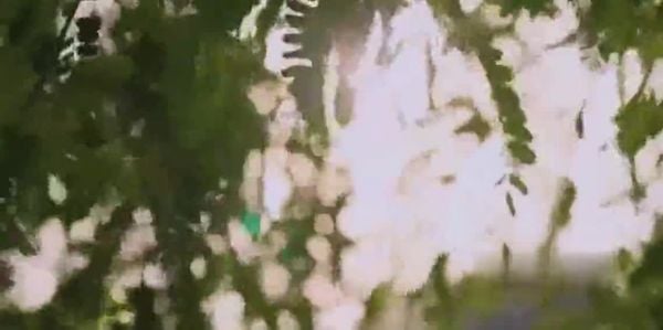 【 失身的模特 】-韩国三级-中文字幕