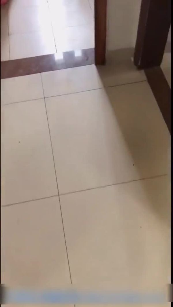 性感女友性趣来了忍不住来一发表情太骚了