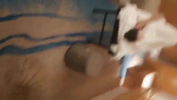 少妇带着水果来找相熟的男技师全身推油爽到让小哥草她才能泻火