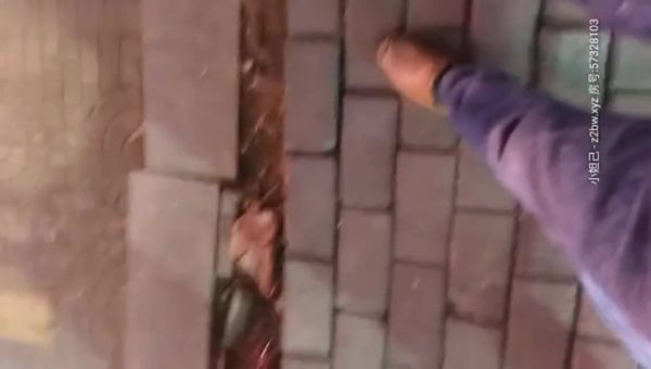 涨知识村长让咱见识了啥叫格局500块约个开丰田的卖淫女牛逼轰轰的像狗一样被计时草足四十分钟